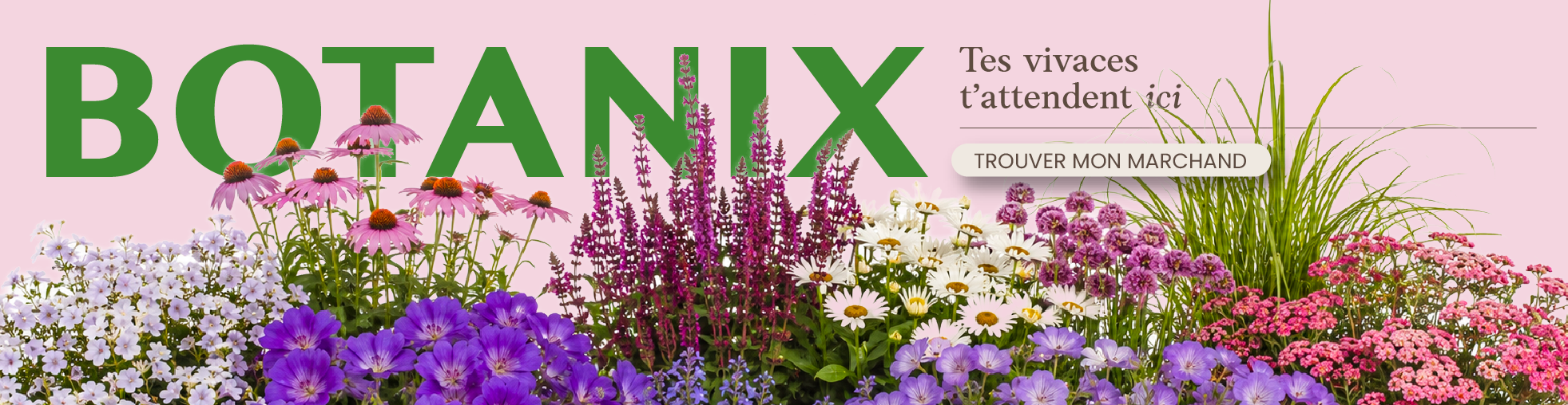 Banniere Botanix à partir du 25 juin 2026 - vivaces