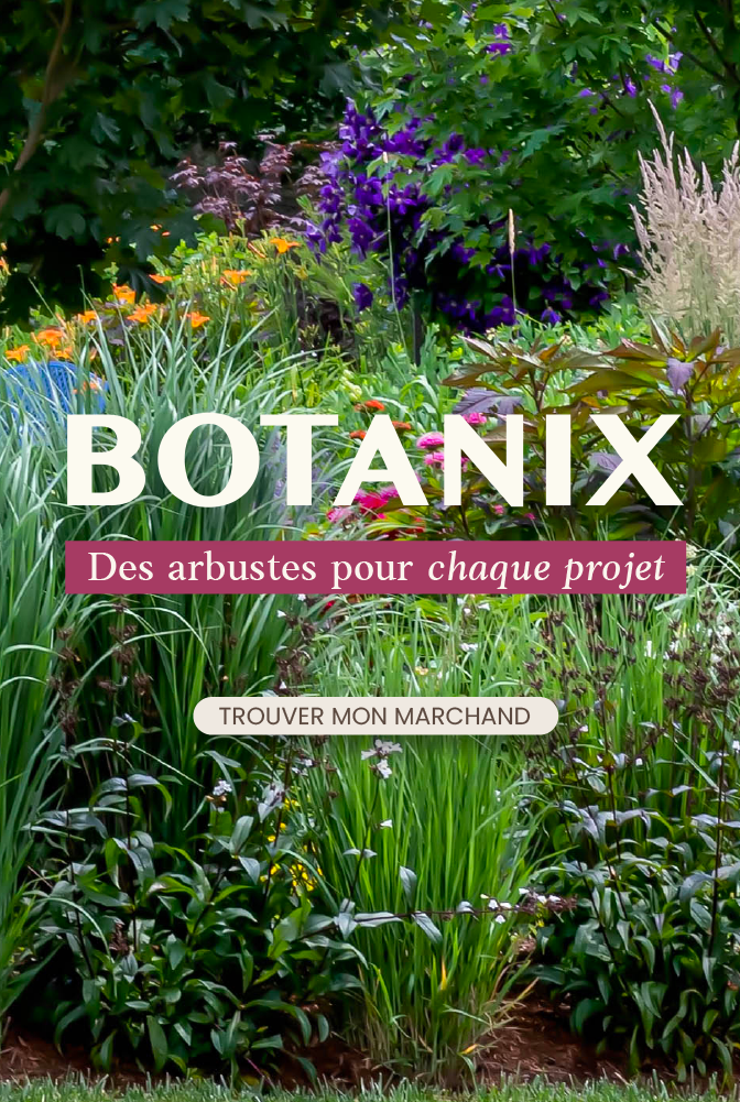 Ilot Botanix à partir du 25 juin 2026 - arbuste