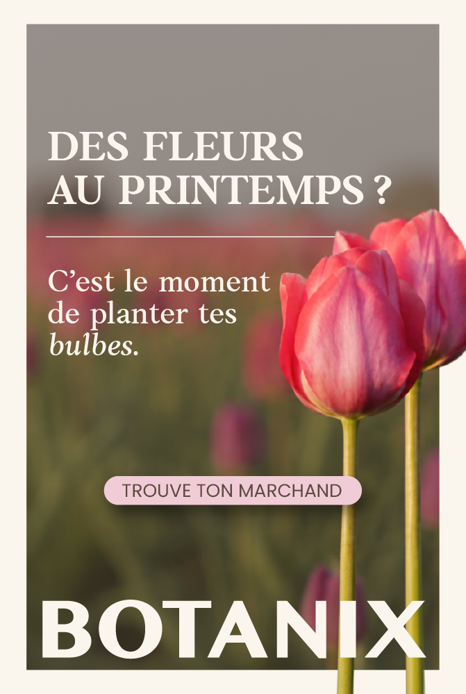 Banniere Botanix octobre 2026